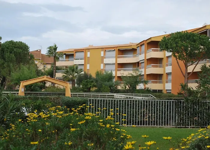 Appartement T2 Au Lavandou Avec Piscine Pour 4-6 Personnes - Fr-1-803-99