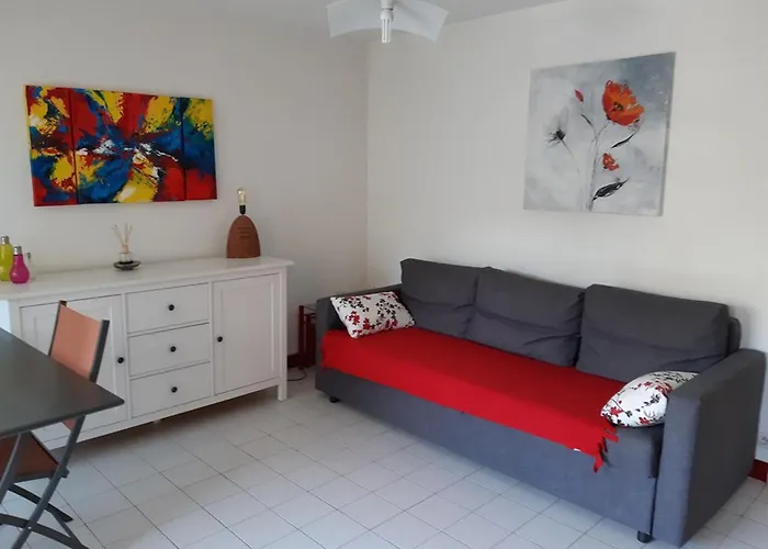 Lägenhet T2 Au Lavandou Avec Piscine Pour 4-6 Personnes - Fr-1-803-99